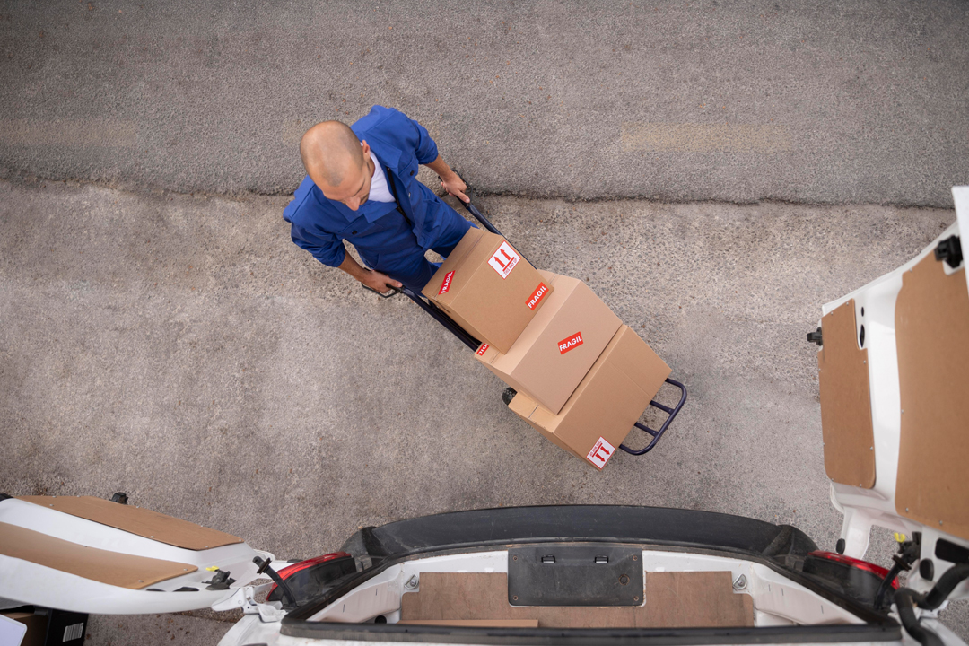 William Moving